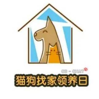 北京猫狗救助中心24小时热线