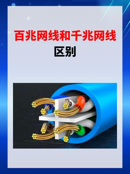 网线百兆和千兆的区别图标