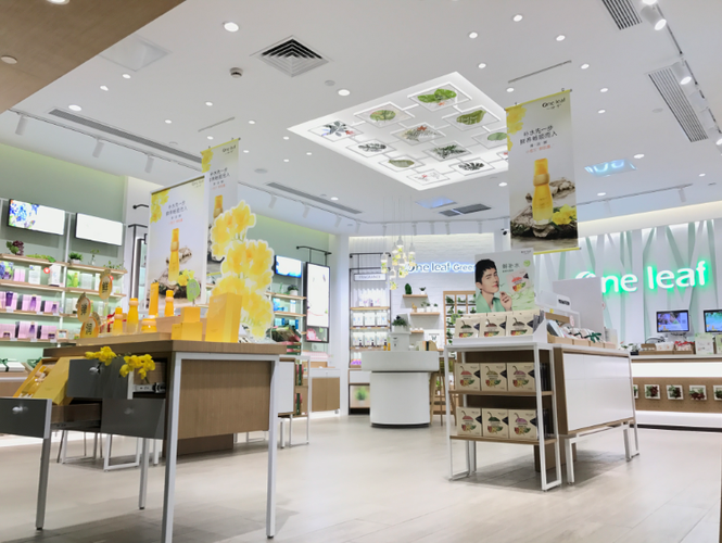 一叶子加盟实体店