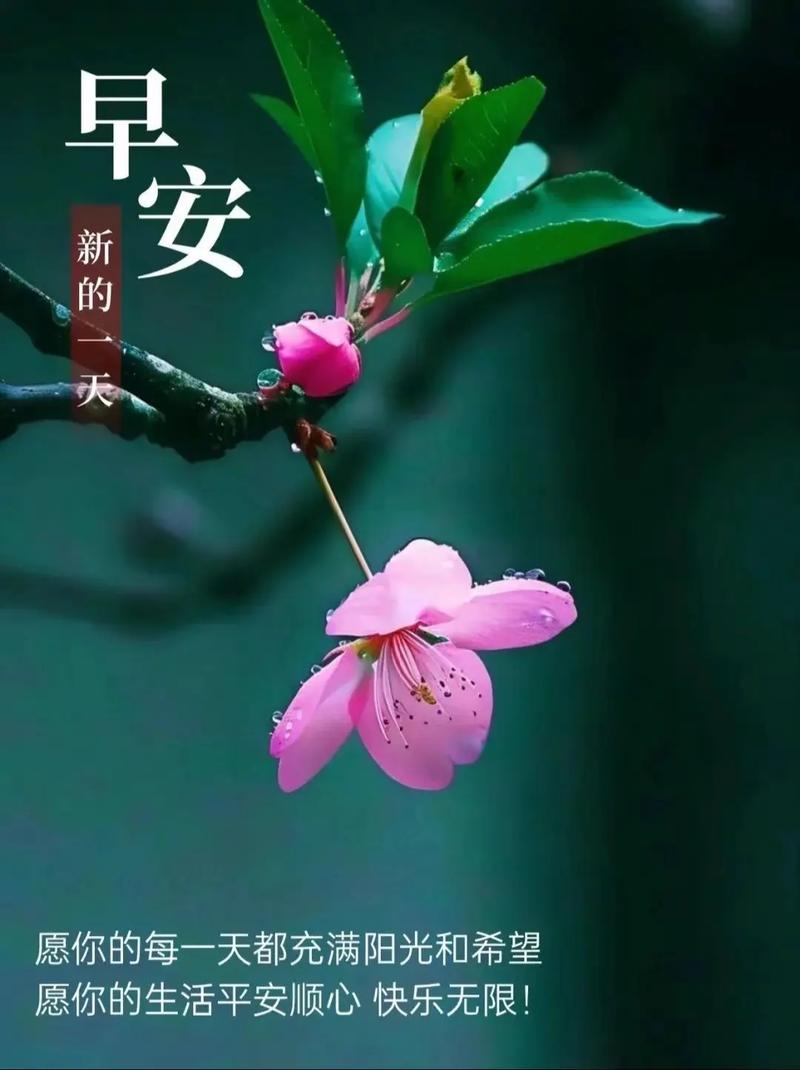 社群聊天app