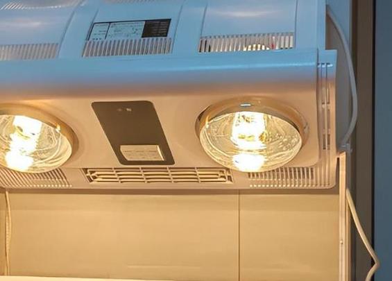 灯暖浴霸换成风暖浴霸可以吗