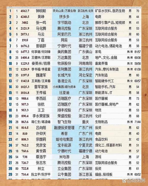 个人富豪榜排名查询
