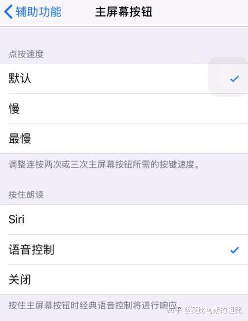 苹果11麦克风设置在哪里