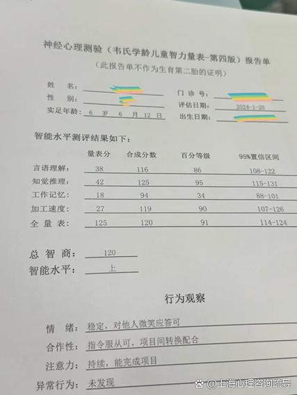 韦氏智力测试官网入口