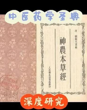 《神农本草经》作者