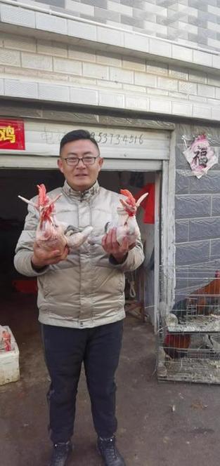 农村老人上供的盘鸡