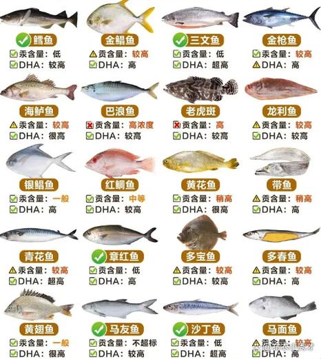 海洋鱼类品种大全