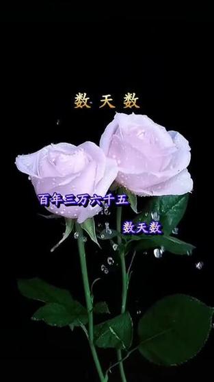 数天数