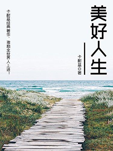 小说名叫美好人生