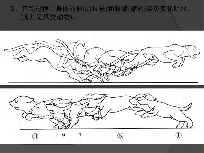 动物运动能量的直接来源