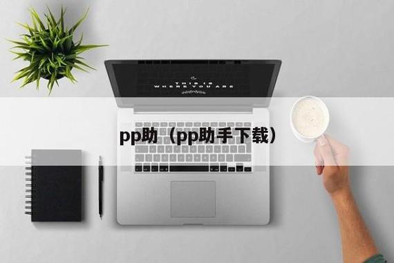 PP平台是干嘛的缩略图