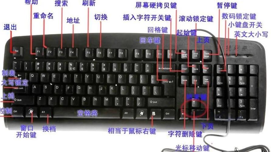 键盘向下箭头怎么打