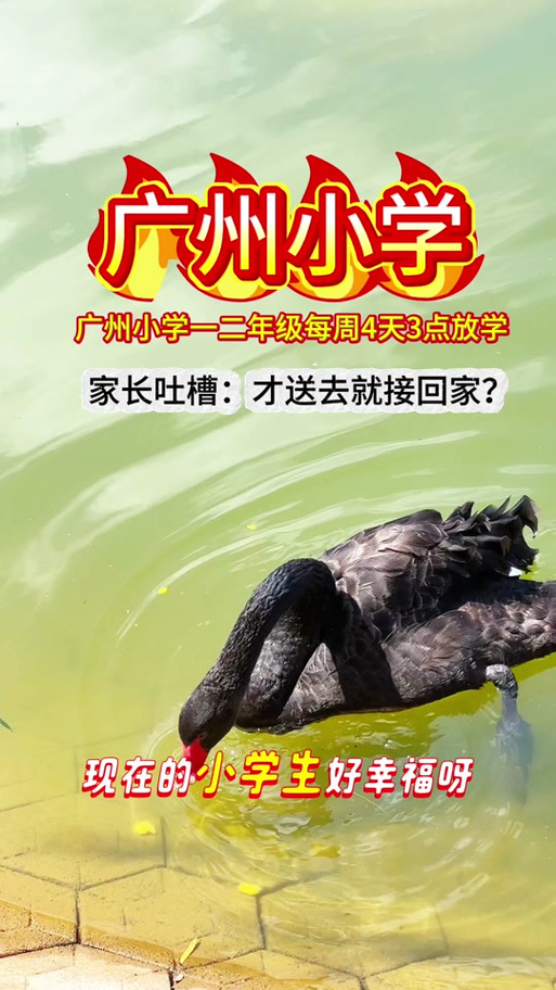广州小学放学时间 广州小学放学时间查询
