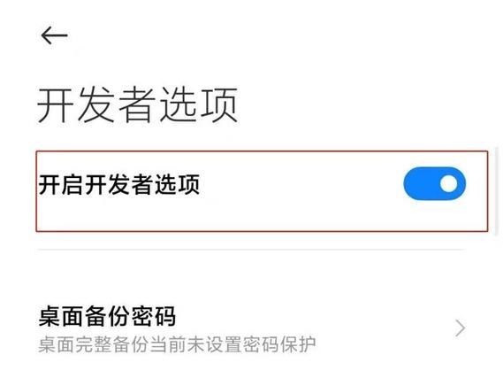 关闭开发者选项图标