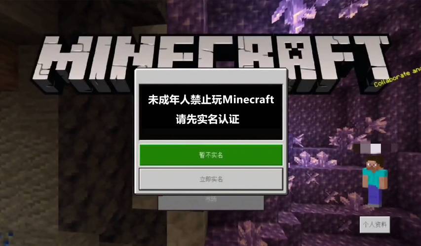 我的世界防沉迷怎么开挂游戏截图