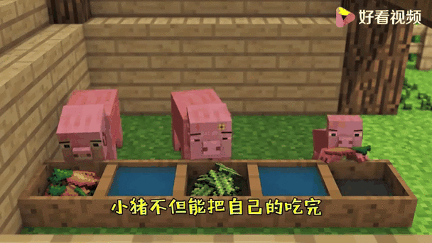 我的世界里面猪吃什么