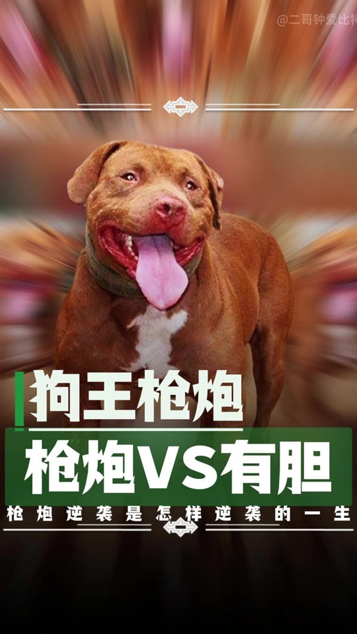 比特犬大嘴截图