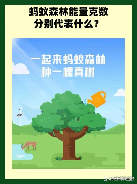 为什么蚂蚁森林不产生能量