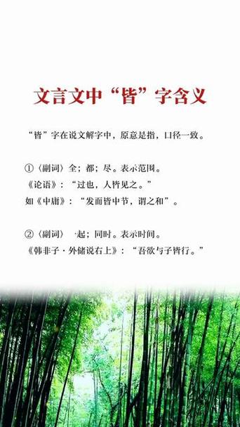皆什么意思游戏截图