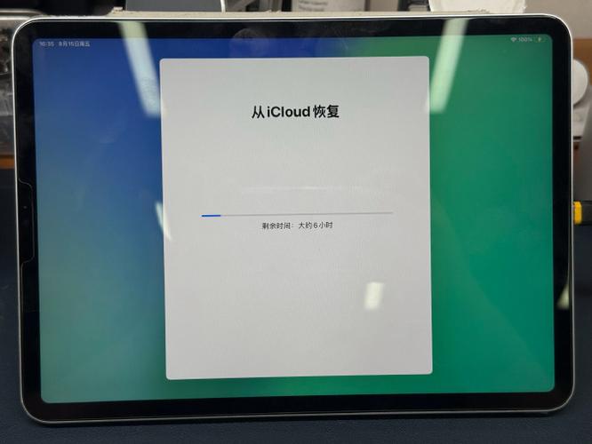 苹果ipad显示储存空间y已满我发