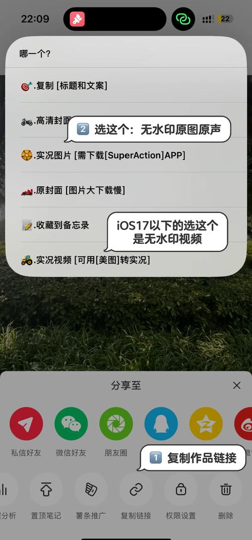 怎么将秒拍保存到相册截图