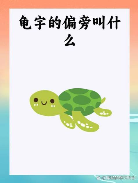 龟责在圈内啥意思