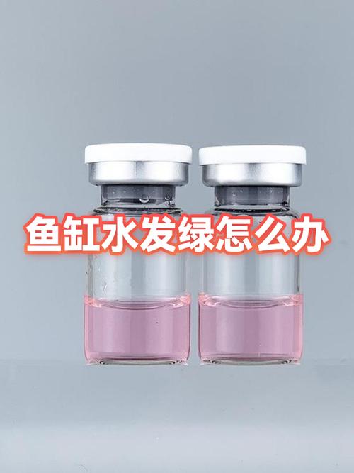 鱼缸水质发绿怎么处理方法