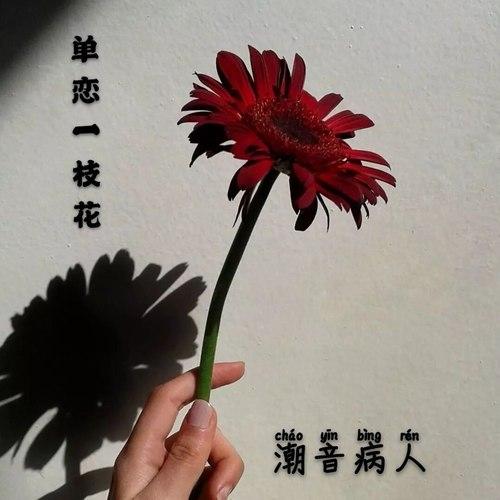 单恋一枝花下载
