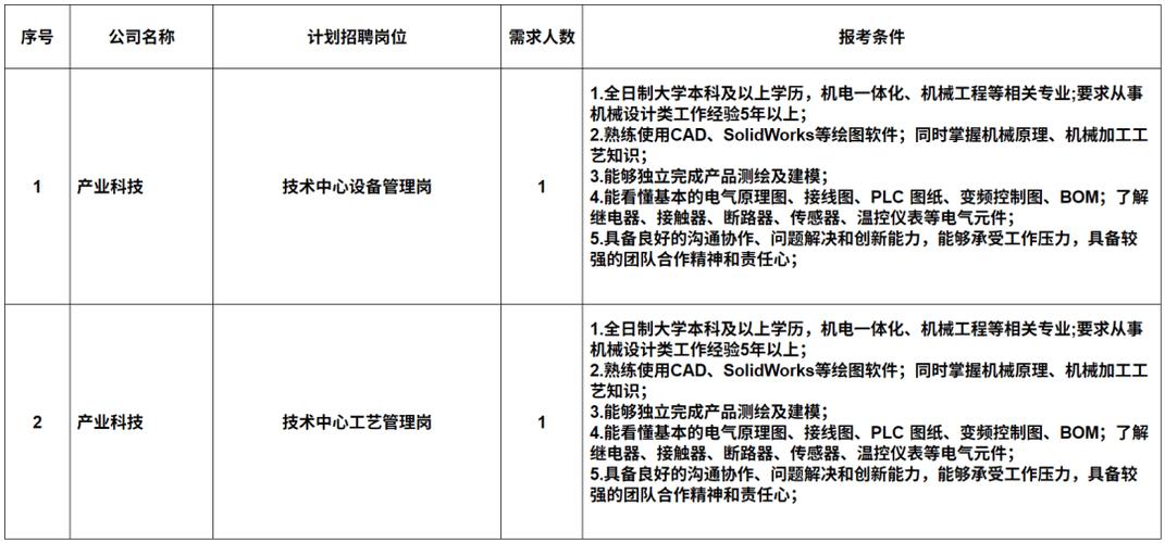 景德镇黑猫集团招聘