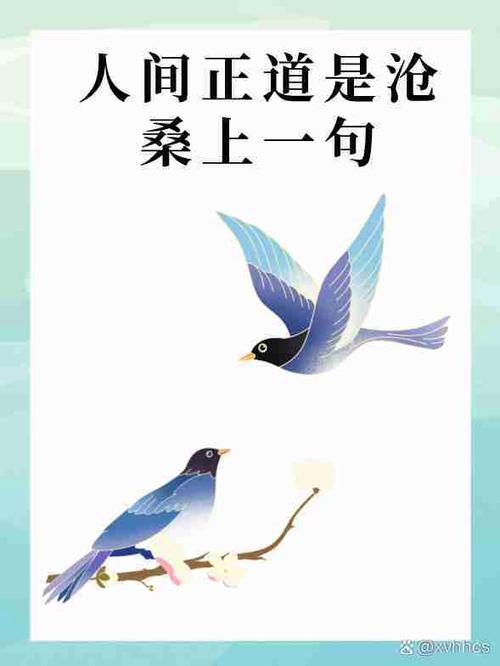 李玫瑾马加爵有情感就有责任