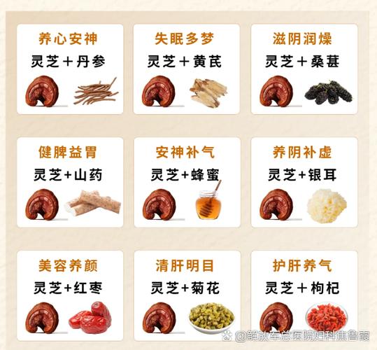 灵芝的食用方法