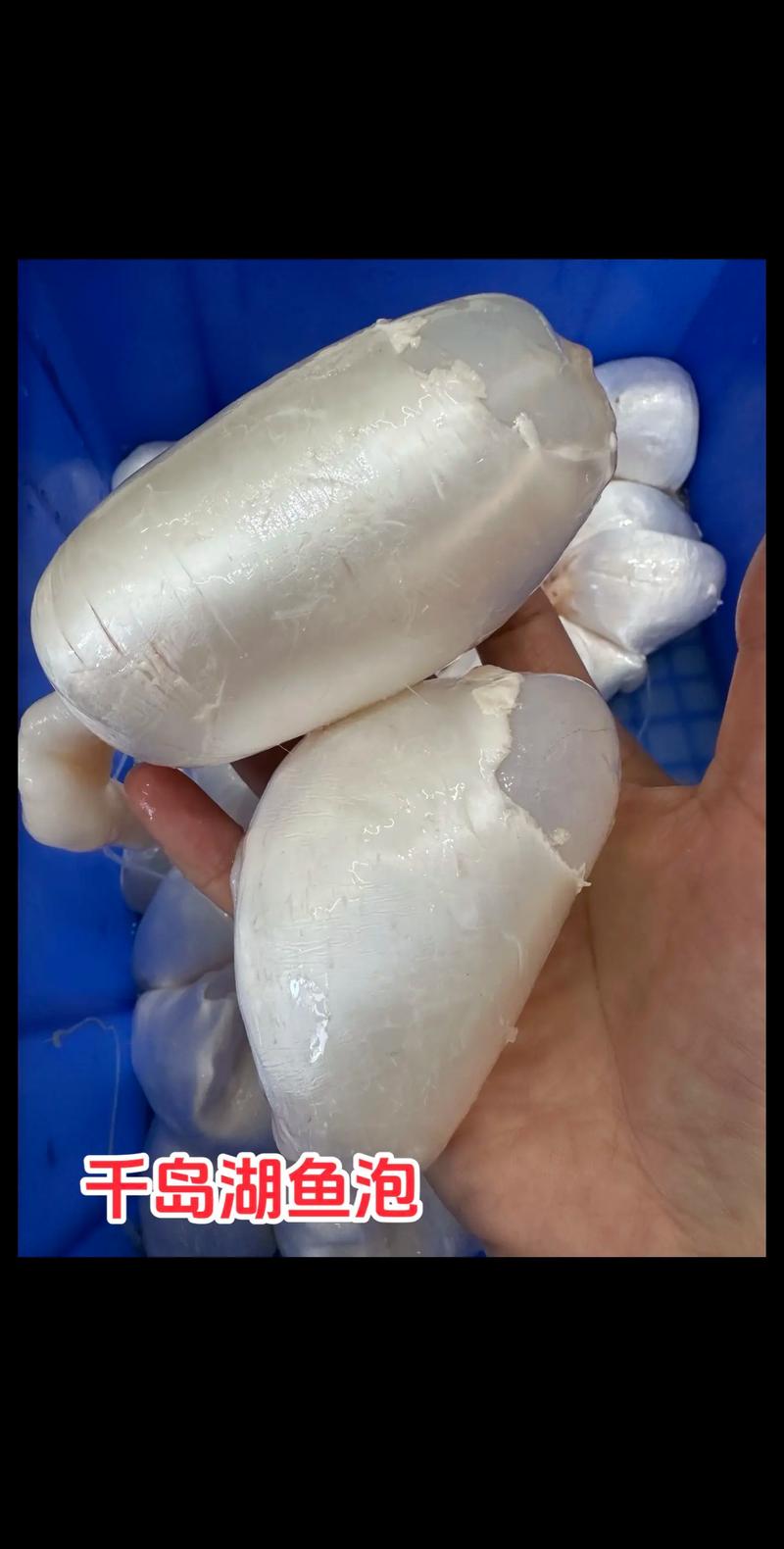 鱼泡怎么免费打电话