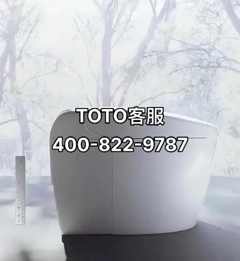 toto马桶售后维修中心游戏截图