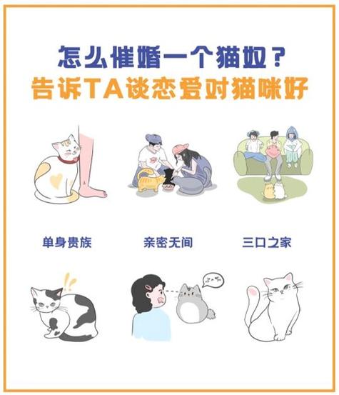 养猫其实是猫选择主人