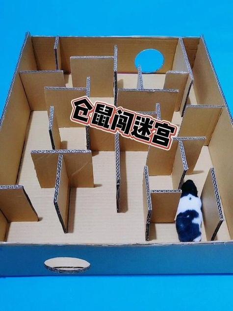 小仓鼠走十层迷宫