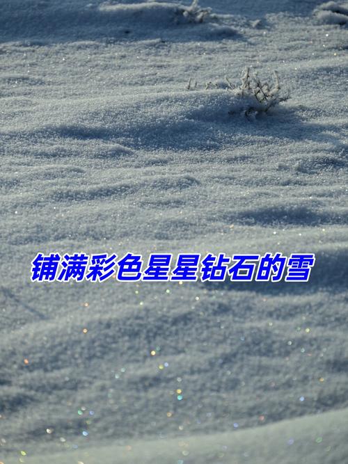 演员张瑞雪个人信息