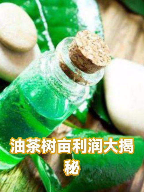 油茶成本