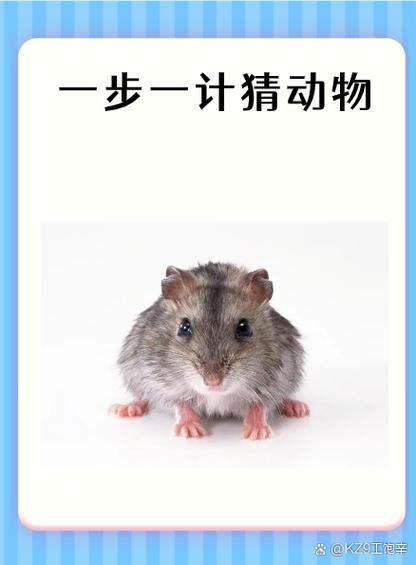 微信怎么偷偷知道是否在语音缩略图