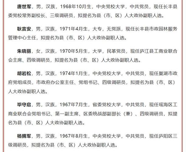 合肥正处级干部一览表