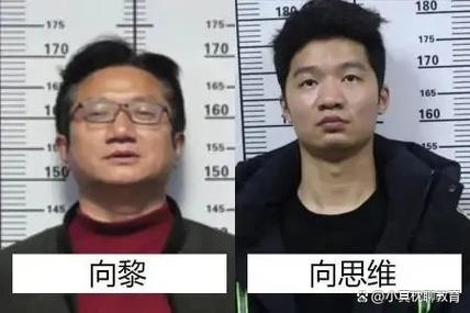 向黎判了几年是怎么判的