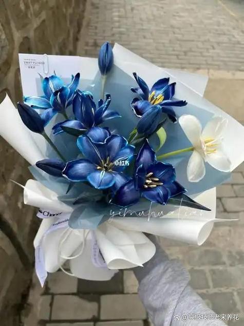 blued多少钱截图