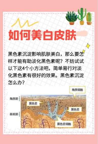 皮肤黑怎么才可以变白最快最有效截图