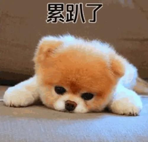 累趴了表情包图片