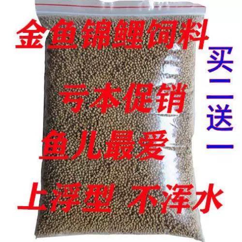 锦鲤鱼食游戏截图