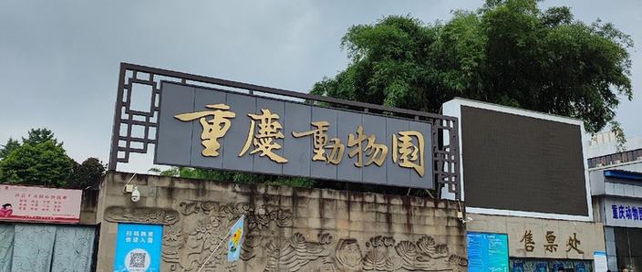 在哪里看大熊猫游戏截图