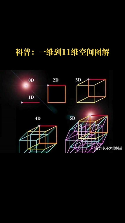 三维到十一维分别是怎样得