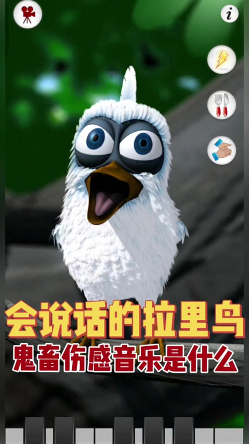 会说话的拉里鸟怎么样