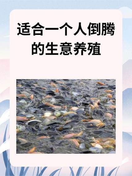 适合一个人倒腾的生意