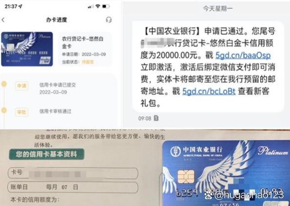 农业银行卡额度限制游戏截图