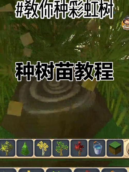 迷你世界珍木种植条件
